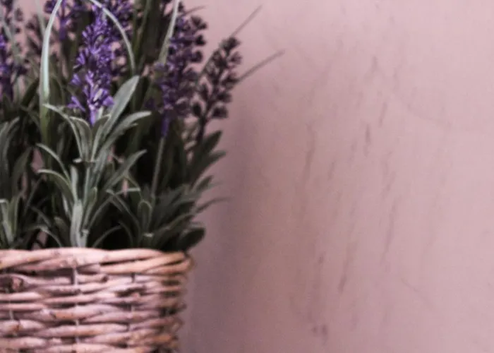 Casa Sigala Cave * 伊亚